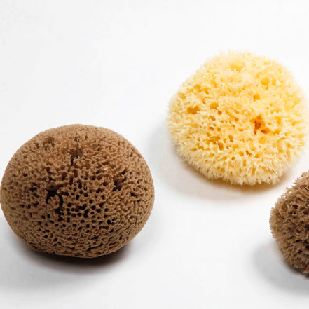 Natural Sea Sponge - Zero Waste Organic Sponge - Plastic Free Biodegradable Bath Sponge-1