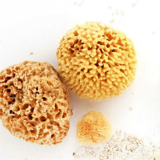 Natural Sea Sponge - Zero Waste Organic Sponge - Plastic Free Biodegradable Bath Sponge-0