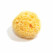 Natural Sea Sponge - Zero Waste Organic Sponge - Plastic Free Biodegradable Bath Sponge-3