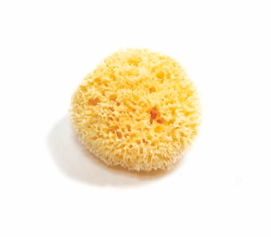 Natural Sea Sponge - Zero Waste Organic Sponge - Plastic Free Biodegradable Bath Sponge-3
