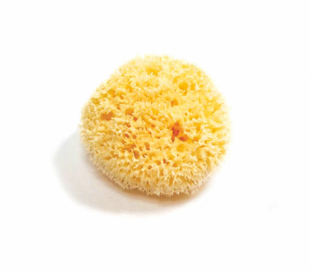 Natural Sea Sponge - Zero Waste Organic Sponge - Plastic Free Biodegradable Bath Sponge-3