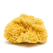 Natural Sea Sponge - Zero Waste Organic Sponge - Plastic Free Biodegradable Bath Sponge-2