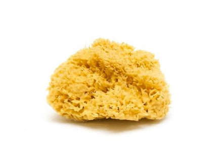 Natural Sea Sponge - Zero Waste Organic Sponge - Plastic Free Biodegradable Bath Sponge-2