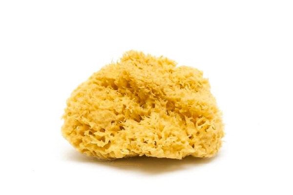 Natural Sea Sponge - Zero Waste Organic Sponge - Plastic Free Biodegradable Bath Sponge-2