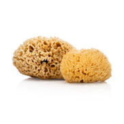 Natural Sea Sponge - Zero Waste Organic Sponge - Plastic Free Biodegradable Bath Sponge-4