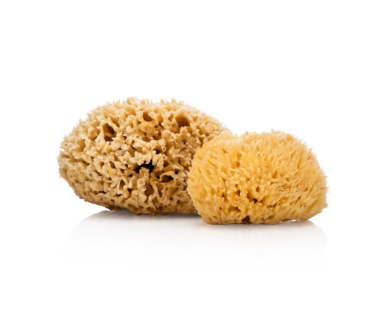 Natural Sea Sponge - Zero Waste Organic Sponge - Plastic Free Biodegradable Bath Sponge-4