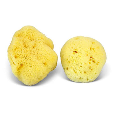 Natural Sea Sponge - Zero Waste Organic Sponge - Plastic Free Biodegradable Bath Sponge-5