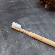 Refillable Bamboo Toothbrush (Canada Only)-4